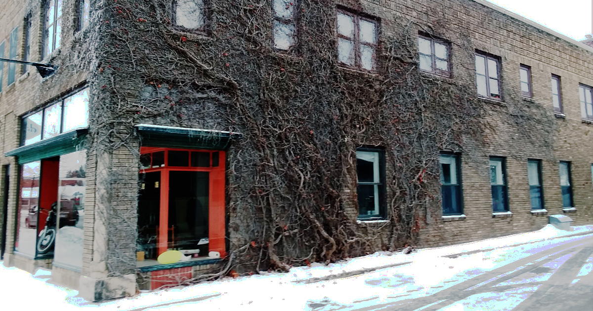 Vines climbing the side of an abandoned store